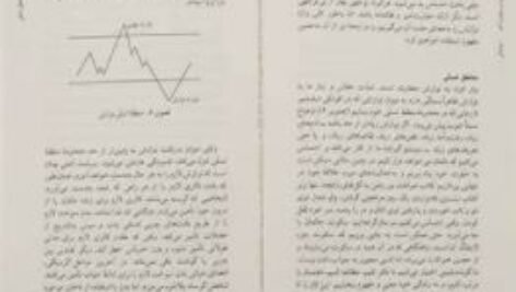 دانلود پی دی اف کتاب ماندن در وضعیت آخر امی بی. هریس