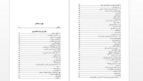 دانلود پی دی اف کتاب خدا احمق ها را دوست دارد مجید محمدی