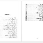 دانلود پی دی اف کتاب پینوکیو ادمک چوبی صادق چوبک