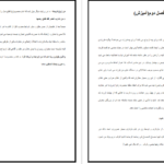 دانلود پی دی اف کتاب ریحانه بهشتی یا فرزند صالح سیما میخبر