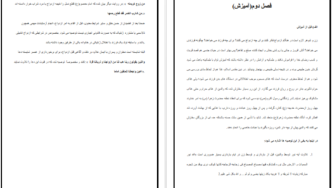 دانلود پی دی اف کتاب ریحانه بهشتی یا فرزند صالح سیما میخبر