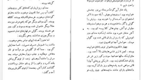 دانلود پی دی اف کتاب انتری که لوطیش مرده بود صادق چوبک
