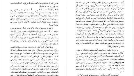 دانلود پی دی اف کتاب ماجراهای شگفت انگیز پرویز شهدی