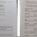 دانلود پی دی اف کتاب متون تخصصی پیش دبستانی و دبستانی مریم داداش زاده