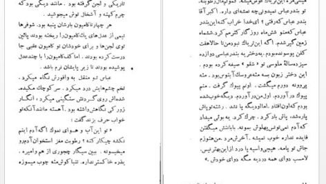 دانلود پی دی اف کتاب انتری که لوطیش مرده بود صادق چوبک