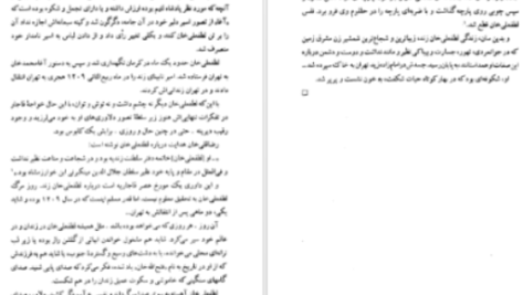دانلود پی دی اف کتاب لطفعلی خان زند (شکوفه خونین شیراز) داریوش آریا