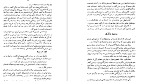 دانلود پی دی اف کتاب شوخی علماء و شمه ای از سرگذشت بانوان هنرمند رحیم زاده صفوی