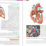 دانلود پی دی اف کتاب فاگوزیست یازدهم فردین جوادی