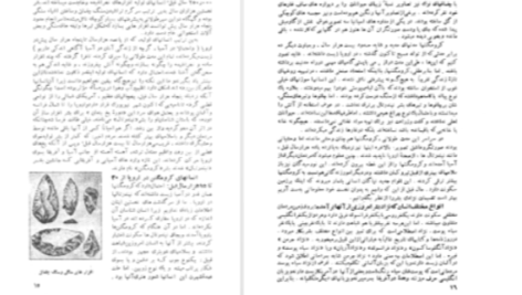 دانلود پی دی اف کتاب سرگذشت تمدن کارل بکر