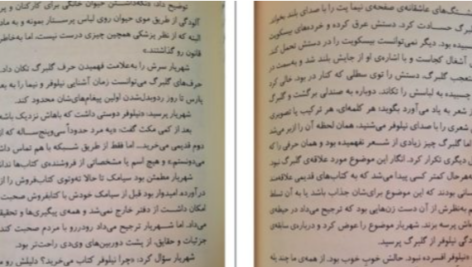دانلود پی دی اف کتاب سندروم ژولیت ضحی کاظمی