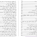 دانلود پی دی اف کتاب ۱۰۰راز خانواده موفق دیوید نیون
