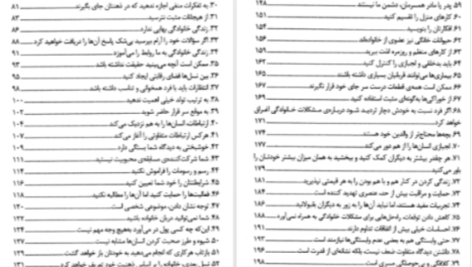 دانلود پی دی اف کتاب ۱۰۰راز خانواده موفق دیوید نیون
