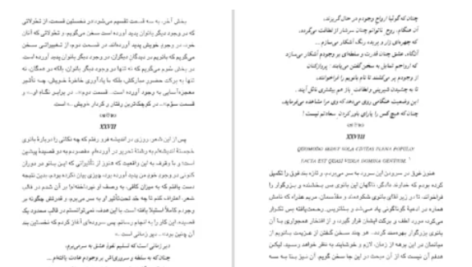دانلود پی دی اف کتاب زندگانی نو دانته آلیگیری