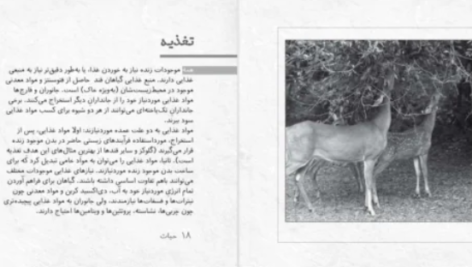 دانلود پی دی اف کتاب زیست شناسی در چند دقیقه تام جکسون