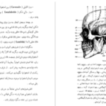 دانلود پی دی اف کتاب سنگواره های انسان عصر حجر دکتر روبر ژولین