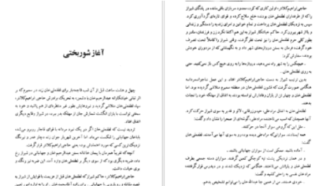 دانلود پی دی اف کتاب لطفعلی خان زند (شکوفه خونین شیراز) داریوش آریا