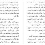 دانلود پی دی اف کتاب روزهای شوم لئوناردو شاشا