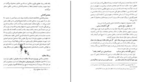 دانلود پی دی اف کتاب شاهدبازی در ادبیات فارسی سیروس شمیسا
