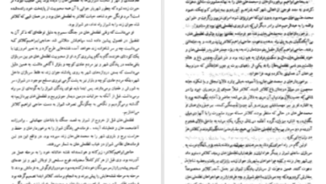 دانلود پی دی اف کتاب لطفعلی خان زند (شکوفه خونین شیراز) داریوش آریا