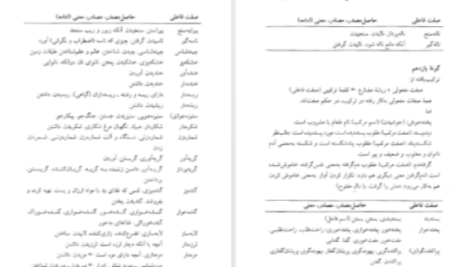 دانلود پی دی اف کتاب فرهنگ واژه سازی در زبان فارسی جلد ۲ کامیاب خلیلی