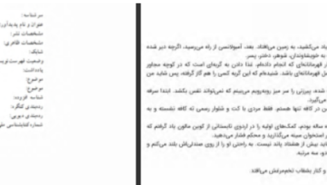 دانلود پی دی اف کتاب بانوی طبقه بالا مک فادن