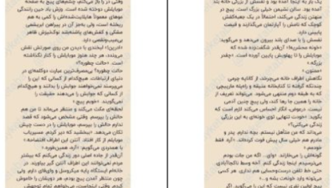 دانلود پی دی اف کتاب هیچ وقت دروغ نگو فریدا مک فادن