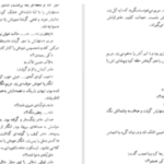 دانلود پی دی اف کتاب سنگ‌های شیطان منیرو روانی‌پور