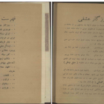 دانلود پی دی اف کتاب دیوان عشقی سلیمی