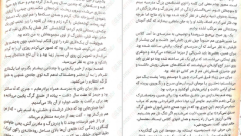 دانلود پی دی اف کتاب گرگ های پوشالی لارن ولک
