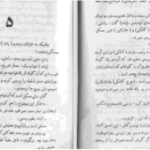 دانلود پی دی اف کتاب من عادل هستم میکی اسپیلین