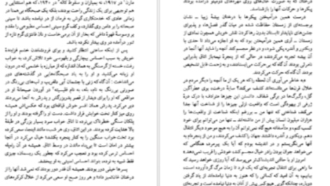 دانلود پی دی اف کتاب خویشاوندان دور کارلوس فوئنتس
