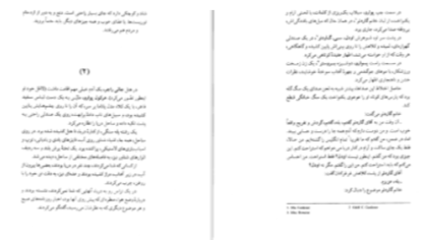 دانلود پی دی اف کتاب شلغم میوه بهشته علی محمد افغانی