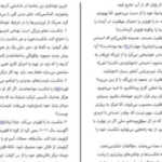دانلود پی دی اف کتاب عصیانگران مریسا مایر