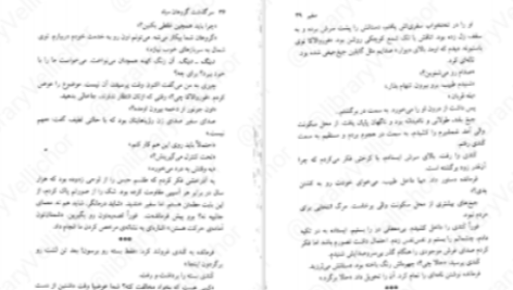 دانلود پی دی اف کتاب سرگذشت گروهان سیاه جلد دوم گلن کوک