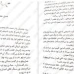 دانلود پی دی اف کتاب گرگ های پوشالی لارن ولک