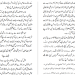 دانلود پی دی اف کتاب محمود الفتاوی جلد ۱ مفتی احمد صاحب خانپوری