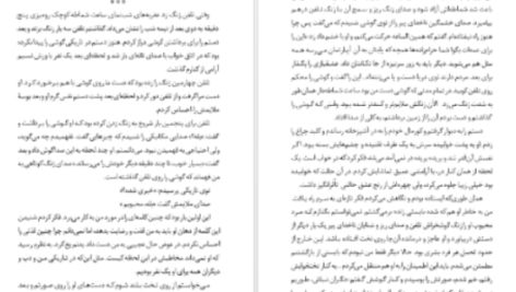 دانلود پی دی اف کتاب استلا یان د هارتوگ