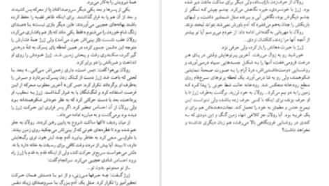 دانلود پی دی اف کتاب گرگ در سایه دیوید گمل