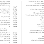 دانلود پی دی اف کتاب مرد بالشی مارتین مک دونا