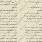 دانلود پی دی اف کتاب همسایه‌ی من توتورو سوگیکو کوبو