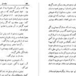 دانلود پی دی اف کتاب کاندید (ساده دل) ولتر