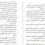 دانلود پی دی اف کتاب گرگ های پوشالی لارن ولک