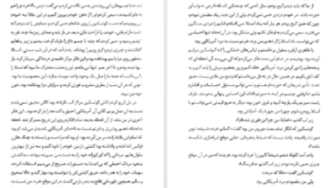دانلود پی دی اف کتاب استلا یان د هارتوگ