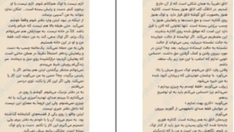 دانلود پی دی اف کتاب هیچ وقت دروغ نگو فریدا مک فادن