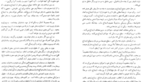 دانلود پی دی اف کتاب قدرت و مقام زن در ادوار تاریخ غلامرضا انصافپور