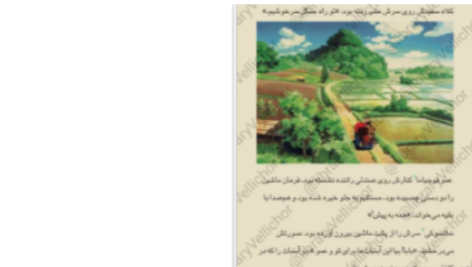 دانلود پی دی اف کتاب همسایه‌ی من توتورو سوگیکو کوبو