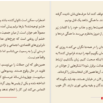دانلود پی دی اف کتاب فرزانگی در عصر تفرقه الیف شافاک