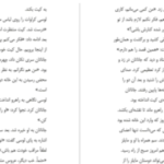 دانلود پی دی اف کتاب دیو کوکی و دلبر نانسی الن