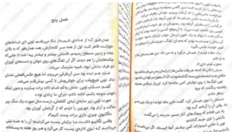 دانلود پی دی اف کتاب گرگ های پوشالی لارن ولک