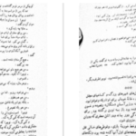 دانلود پی دی اف کتاب کوکائین پیتی گریلی